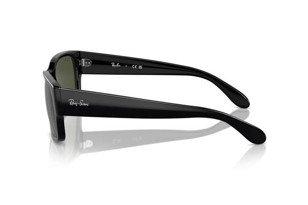 RAYBAN 4388 Γυαλια Ηλιου 