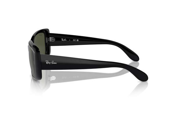 RAYBAN 4389 Γυαλια Ηλιου 