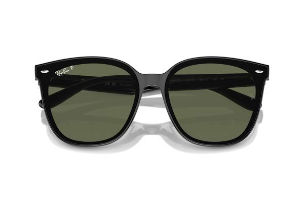 RAYBAN 4423D Γυαλια Ηλιου 