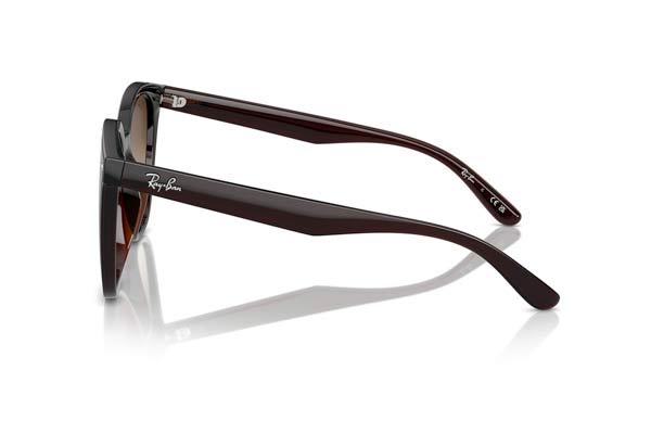 RAYBAN 4423D Γυαλια Ηλιου 