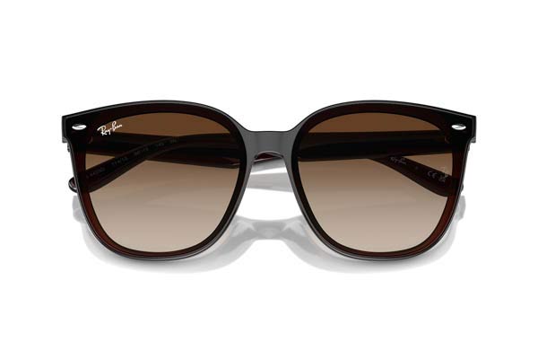 RAYBAN 4423D Γυαλια Ηλιου 