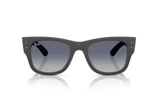 RAYBAN 4840S Γυαλια Ηλιου 