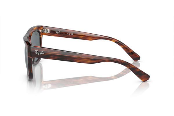 RAYBAN 4426 PHIL Γυαλια Ηλιου 