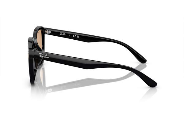 RAYBAN 4392D Γυαλια Ηλιου 