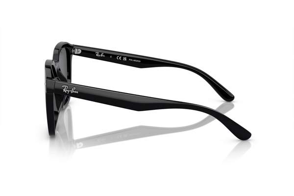 RAYBAN 4392D Γυαλια Ηλιου 