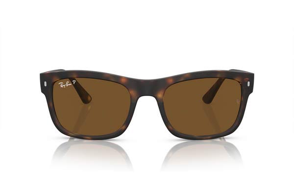 RAYBAN 4428 Γυαλια Ηλιου 