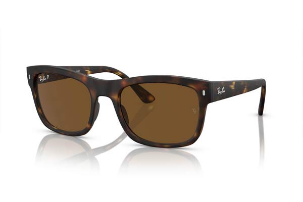 RAYBAN 4428 Γυαλια Ηλιου 