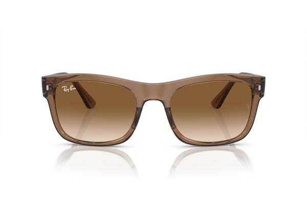 RAYBAN 4428 Γυαλια Ηλιου 