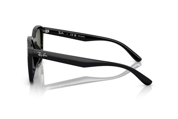 RAYBAN 4392D Γυαλια Ηλιου 