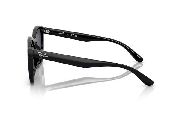 RAYBAN 4392D Γυαλια Ηλιου 