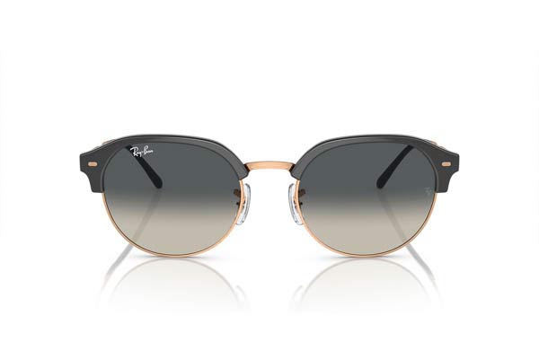 RAYBAN 4429 Γυαλια Ηλιου 