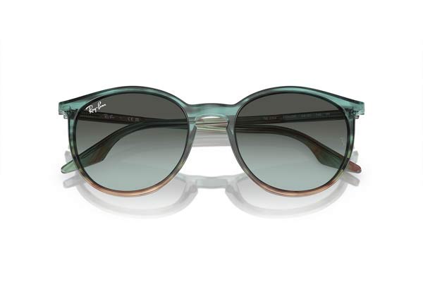 RAYBAN 2204 Γυαλια Ηλιου 