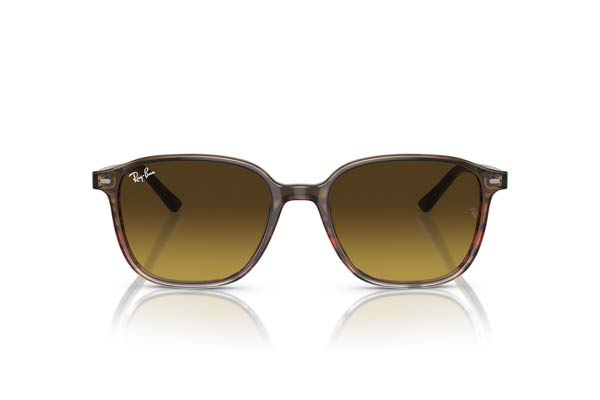 RAYBAN 2193 LEONARD Γυαλια Ηλιου 