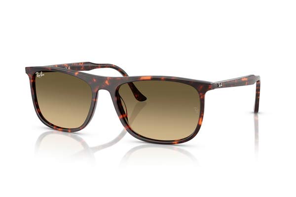 RAYBAN 2216 Γυαλια Ηλιου 