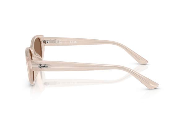 RAYBAN 4457D Γυαλια Ηλιου 