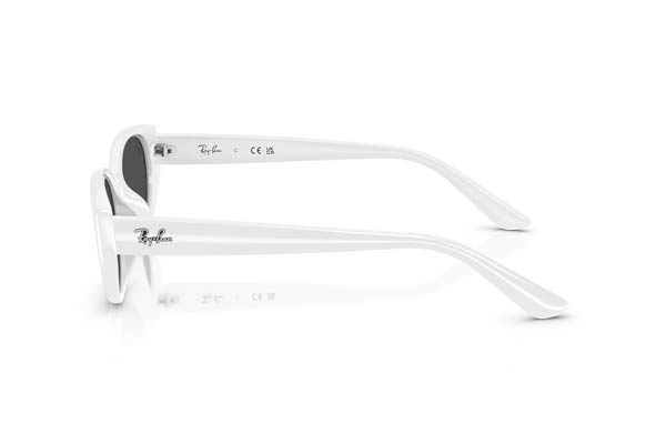 RAYBAN 4457D Γυαλια Ηλιου 