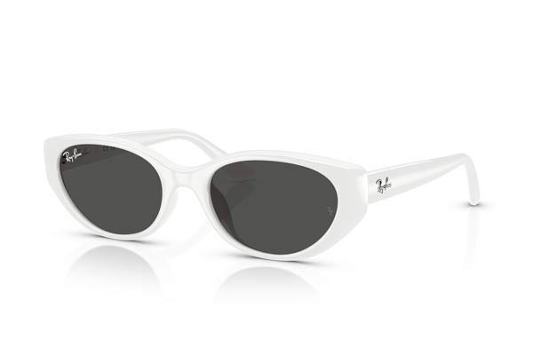 RAYBAN 4457D Γυαλια Ηλιου 