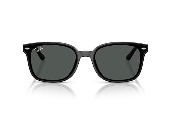 RAYBAN 4461D Γυαλια Ηλιου 
