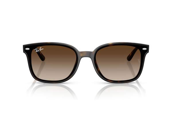RAYBAN 4461D Γυαλια Ηλιου 