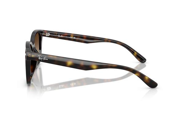 RAYBAN 4461D Γυαλια Ηλιου 
