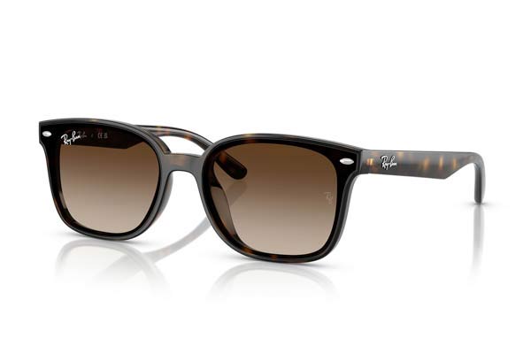 RAYBAN 4461D Γυαλια Ηλιου 