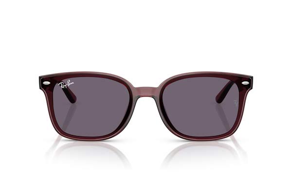 RAYBAN 4461D Γυαλια Ηλιου 