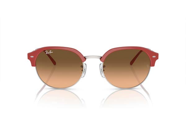 RAYBAN 4429 Γυαλια Ηλιου 