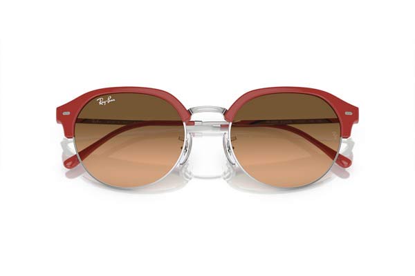RAYBAN 4429 Γυαλια Ηλιου 