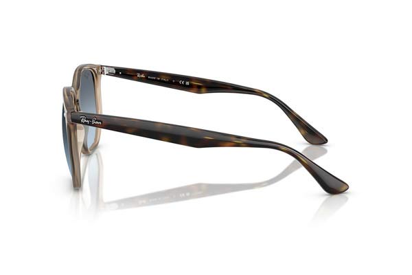 RAYBAN 4306 Γυαλια Ηλιου 