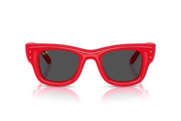RAYBAN 4940 Wayfarer puffer Γυαλια Ηλιου 