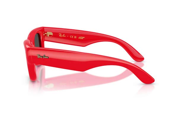 RAYBAN 4940 Wayfarer puffer Γυαλια Ηλιου 