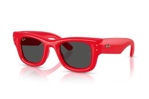 RAYBAN 4940 Wayfarer puffer Γυαλια Ηλιου 