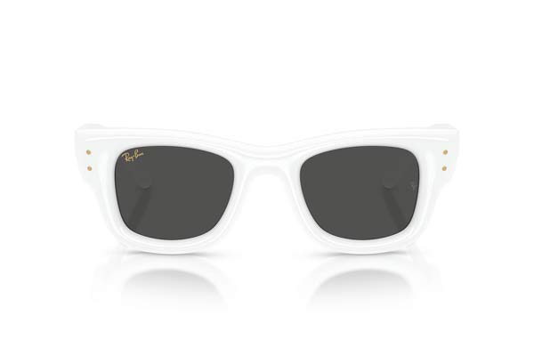 RAYBAN 4940 Wayfarer puffer Γυαλια Ηλιου 