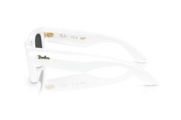RAYBAN 4940 Wayfarer puffer Γυαλια Ηλιου 