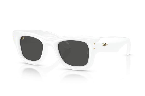 RAYBAN 4940 Wayfarer puffer Γυαλια Ηλιου 