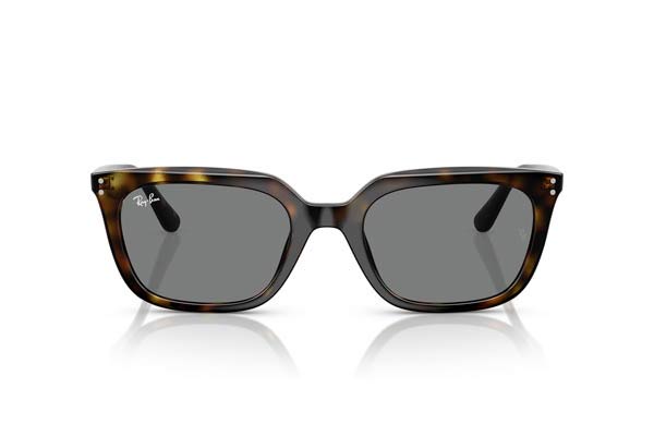 RAYBAN 4439D Γυαλια Ηλιου 
