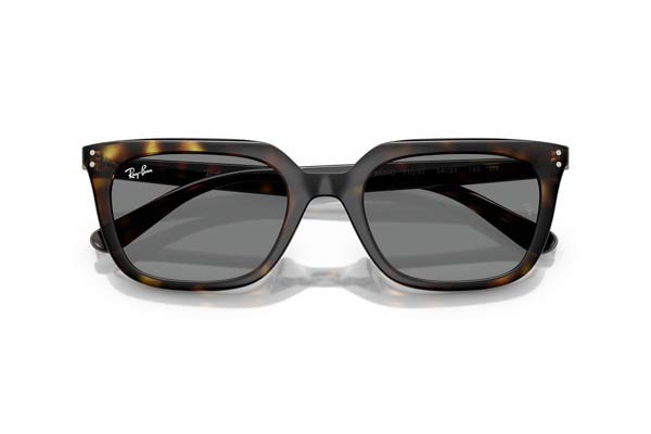 RAYBAN 4439D Γυαλια Ηλιου 