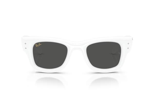 RAYBAN 4940B WAYFARER PUFFER Γυαλια Ηλιου 