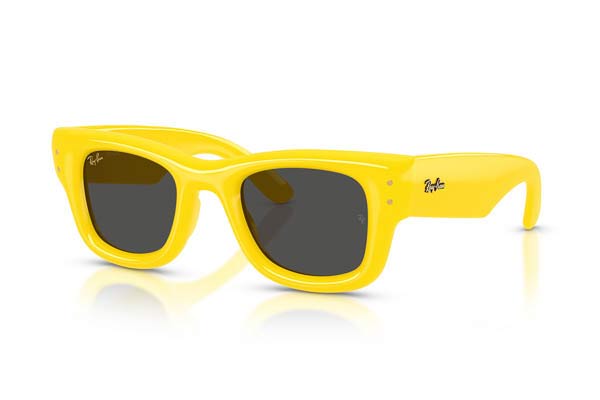 RAYBAN 4940 WAYFARER PUFFER Γυαλια Ηλιου 