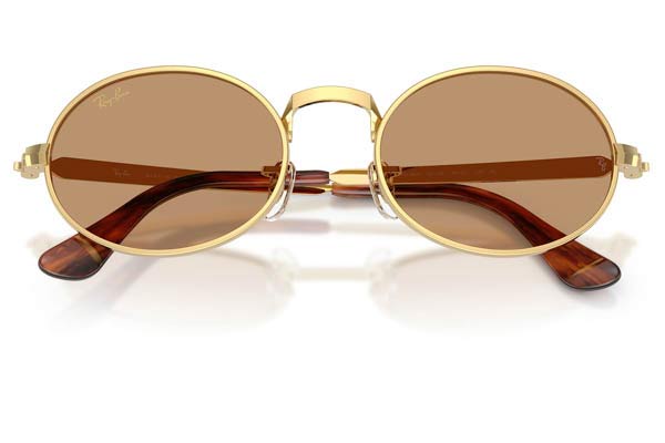 RAYBAN 3931 Γυαλια Ηλιου 