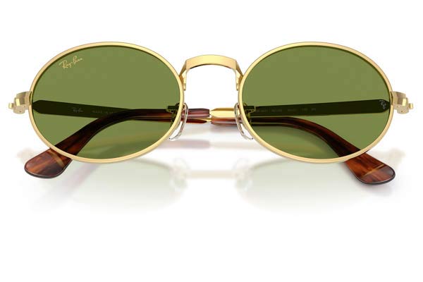 RAYBAN 3931 Γυαλια Ηλιου 