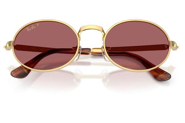 RAYBAN 3931 Γυαλια Ηλιου 