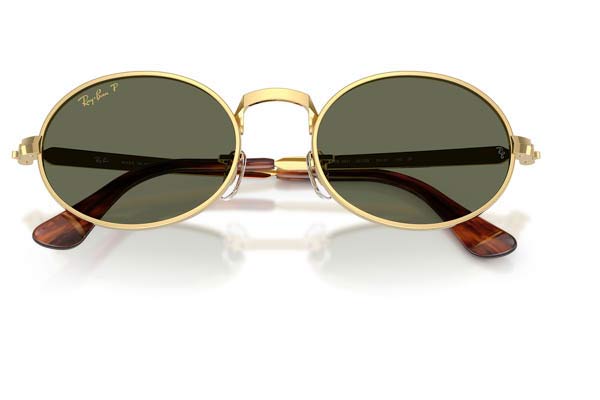 RAYBAN 3931 Γυαλια Ηλιου 