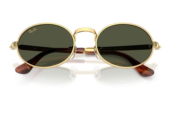 RAYBAN 3931 Γυαλια Ηλιου 