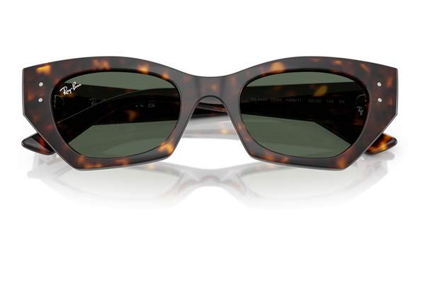 RAYBAN 4430 ZENA Γυαλια Ηλιου 