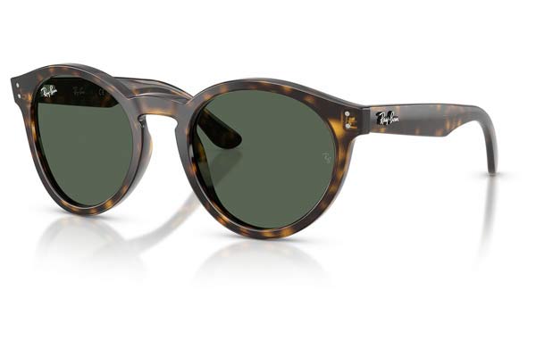 RAYBAN R0505S Γυαλια Ηλιου 