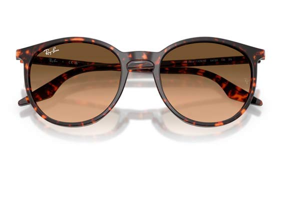 RAYBAN 2204 Γυαλια Ηλιου 