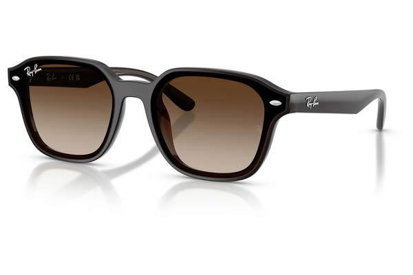 RAYBAN 4458D Γυαλια Ηλιου 