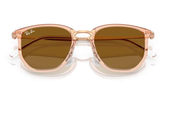 RAYBAN 4451 Γυαλια Ηλιου 
