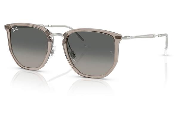 RAYBAN 4451 Γυαλια Ηλιου 